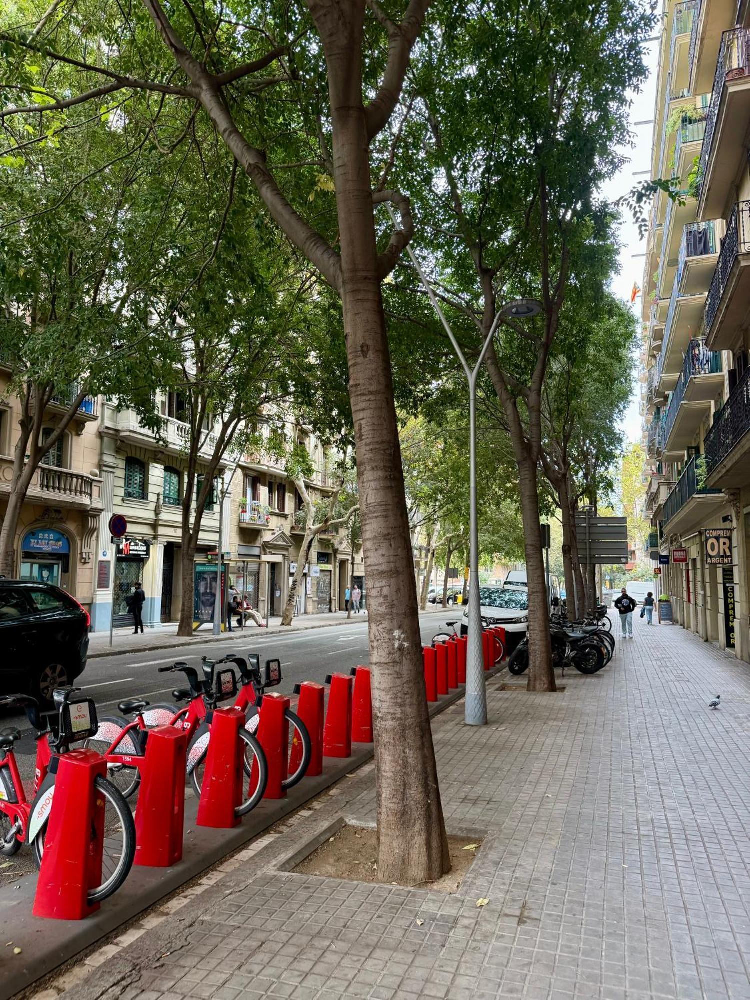 Newly Renovated Stylish Eixample - Great Location Βαρκελώνη Εξωτερικό φωτογραφία